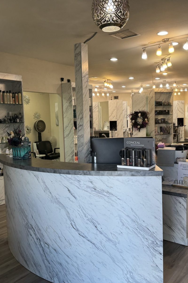 About The Platinum Salon